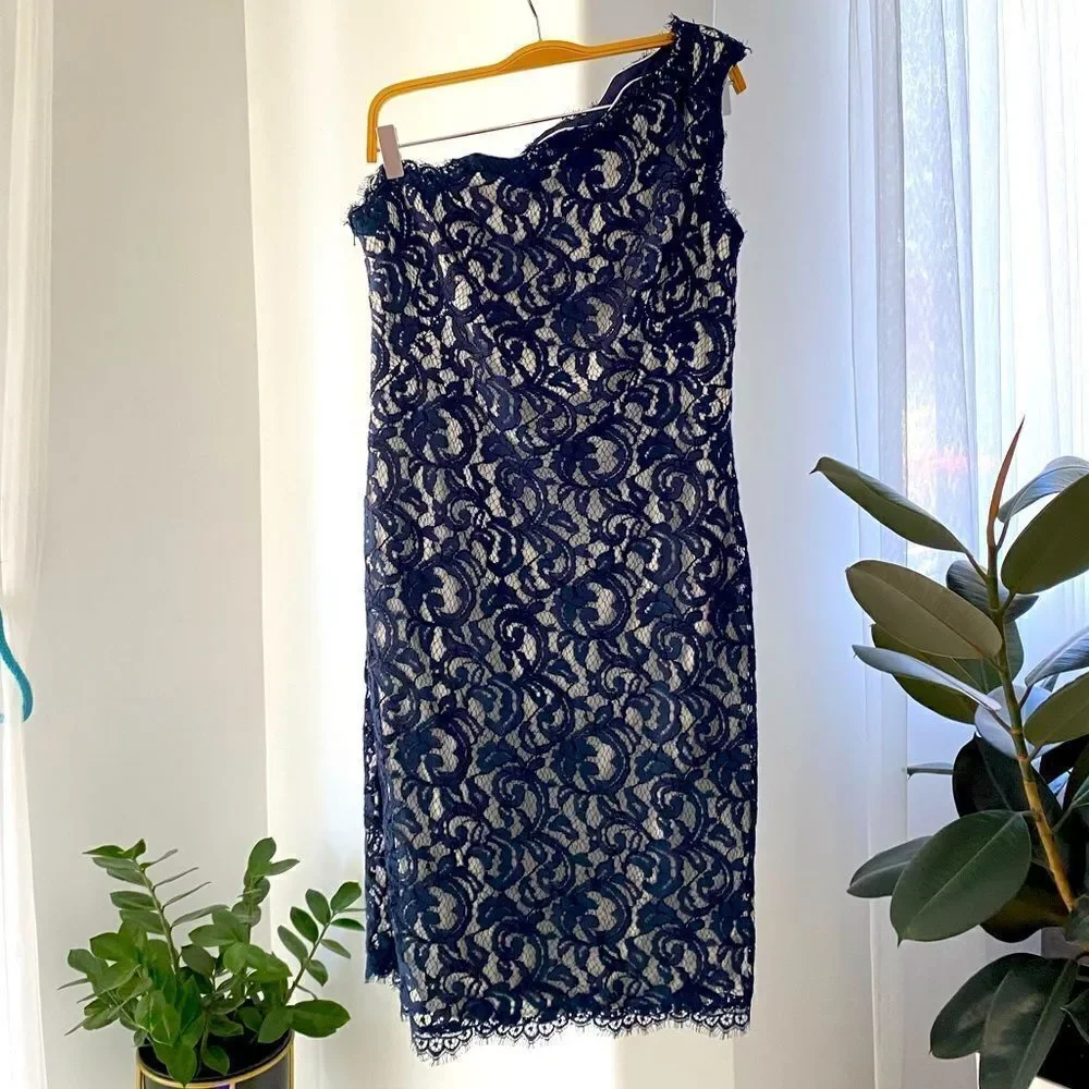 Tadashi Shoji One Shoulder Lace Sheath Dress Party Blue White, Size 6